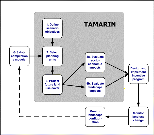 TAMARIN flowchart