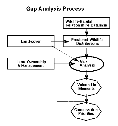 GAP Flowchart